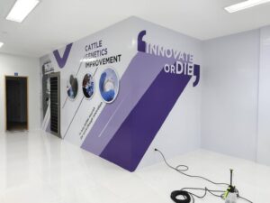 สติ๊กเกอร์ติดผนังปูน