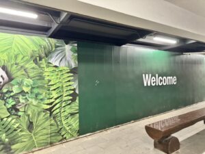 สติ๊กเกอร์ติดผนังปูนภายนอก