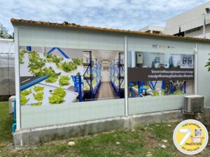 สติ๊กเกอร์ติดผนังปูนภายนอก