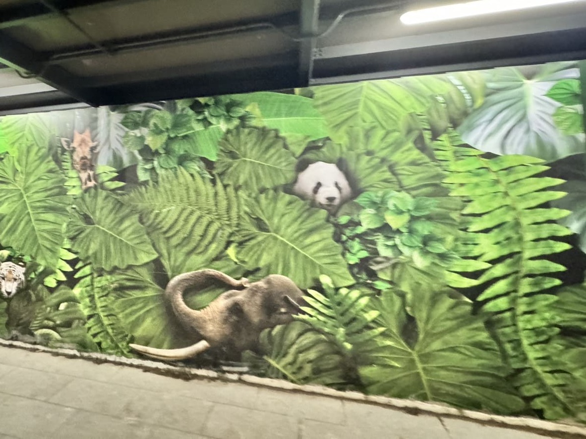 ป้าย hoarding กั้นเขตก่อสร้าง