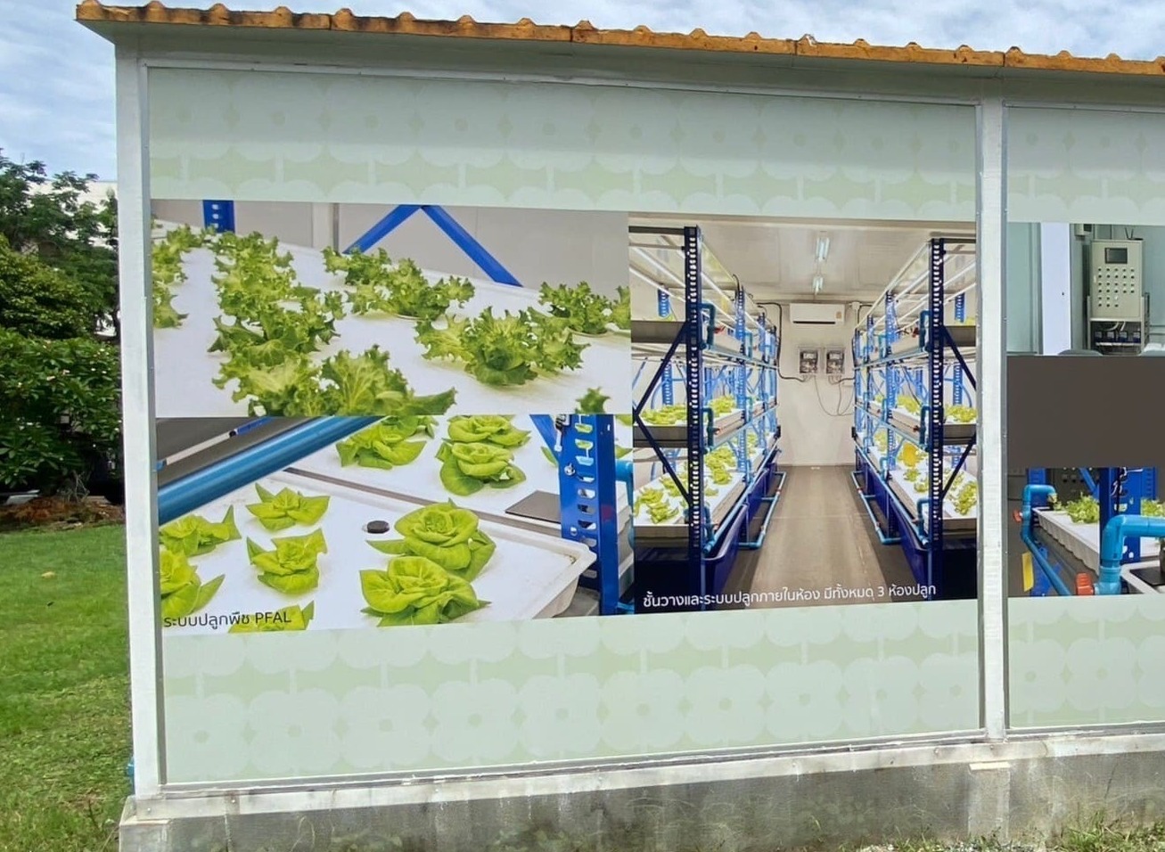 ออกแบบสติ๊กเกอร์ติดผนังปูนภายนอก