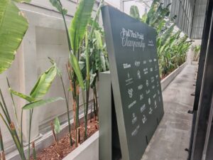 สติ๊กเกอร์ติดผนังปูนภายนอก